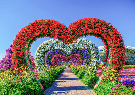 Dárkové obálky a blahopřání