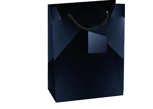 Dárková taška Medium (TM), 19 x 10.2 x 23 cm motiv Geometrický vzor 22528 TM.jpg#14858#dfe933b229ef